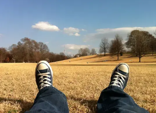 Gazon artificiel : une alternative concrète face aux restrictions d'eau